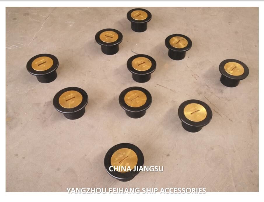 Πρότυπα σχεδιασμού-CB/T3778 Κεφάλαιο σωλήνα ηχογράφησης Κεφάλαιο σωλήνα ηχογράφησης Κεφάλαιο ηχογράφησης Κεφάλαιο ηχογράφησης Συγκρότημα κεφαλής σωλήνα