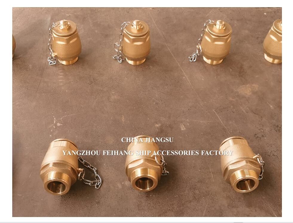 IMPA23339 FH-DN40 Βαλβίδα αποχέτευσης σφαίρας Κεφάλαιο BRASS Κεφάλαιο NPT Κάλυψη από ανοξείδωτο χάλυβα Σφαίρα πλεύσης