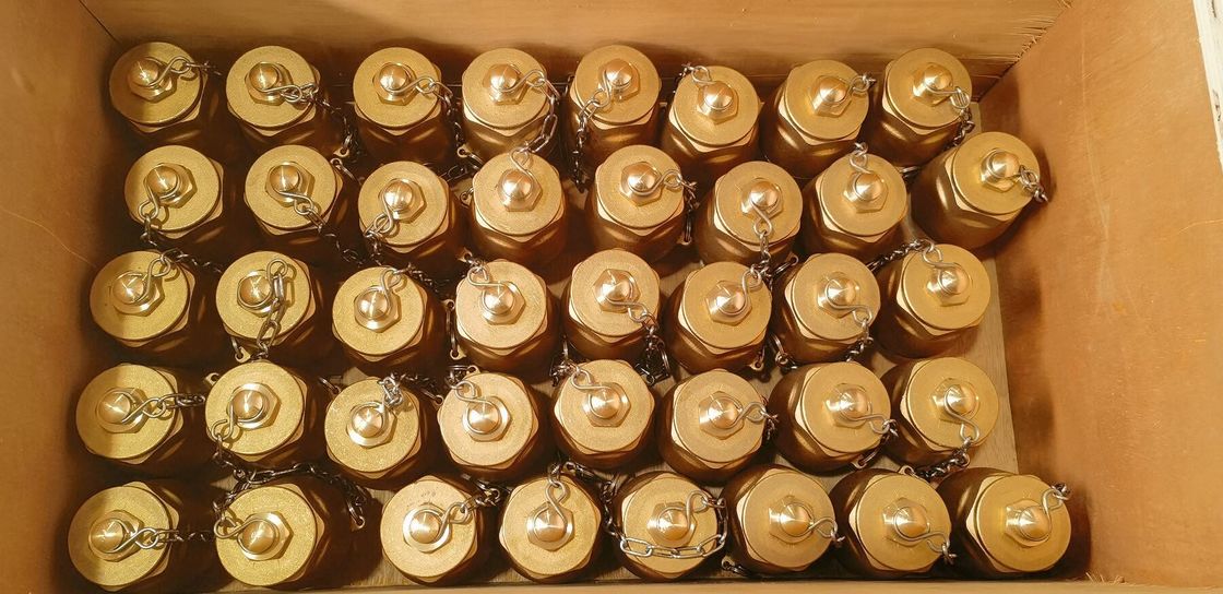 IMPA23339 Βαλβίδα σφαίρας αποχέτευσης Κεφάλαιο BRASS NPT Κεφάλαιο Ατσάλι από ανοξείδωτο χάλυβα Σφαίρα πλεύσης DN32 DN40