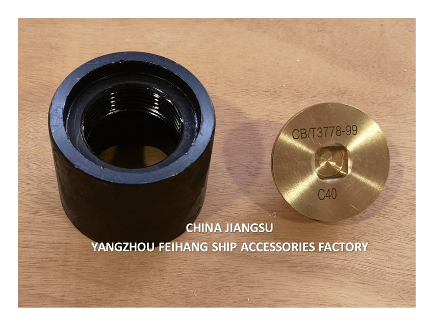 Κεφαλή Σωλήνα Ηχομέτρησης CB Design Standards από Χυτοχάλυβα ή Ανοξείδωτο Χάλυβα