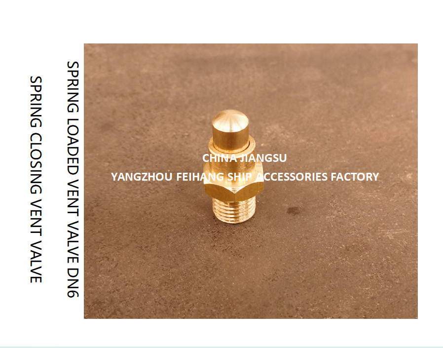 DN6 Spring Loaded Vent Valve with Threaded Ends Compliant with CB/T3778-1999 Standard