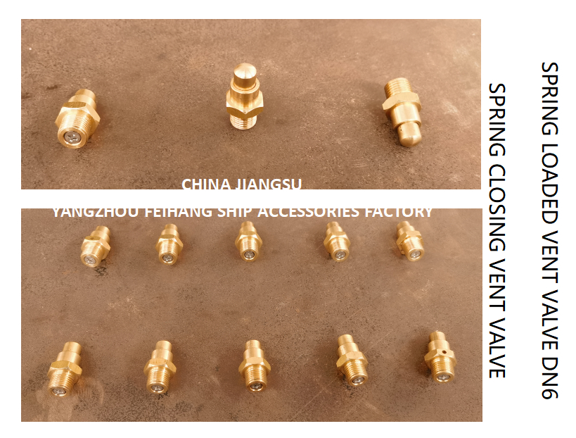 DN6 Brass Spring Loaded Vent Valve with Threaded Ends Compliant to CB/T3778-1999 Standards