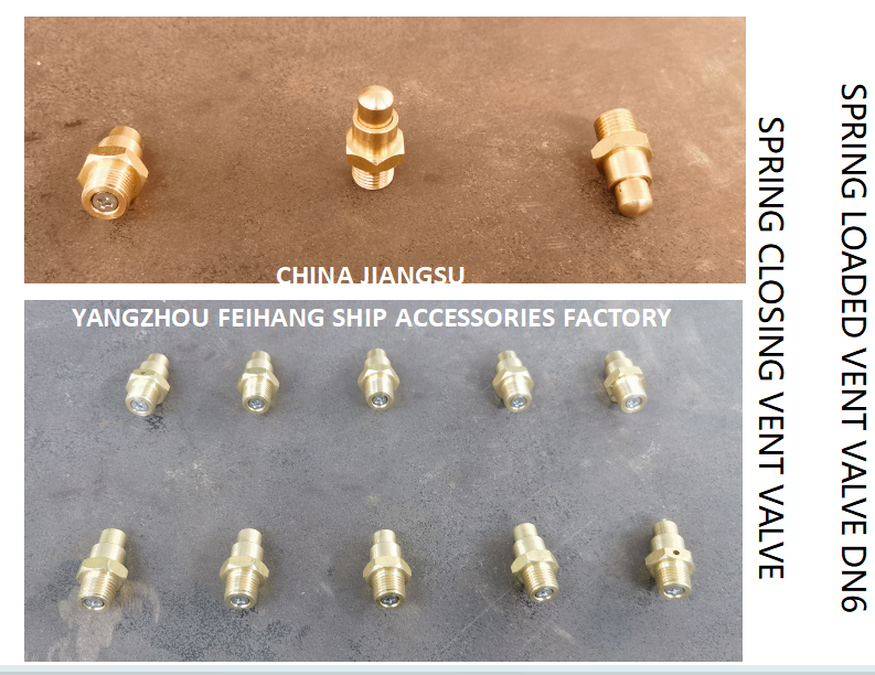 DN6 Threaded Spring Loaded Vent Valve with CB/T3778-1999 Standard for Marine Applications