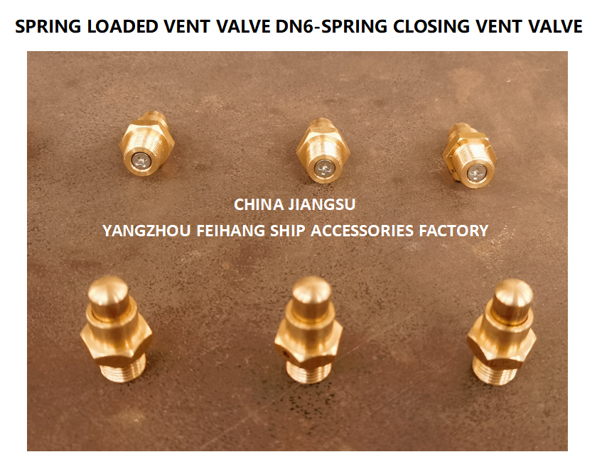 DN6 Brass Spring Loaded Vent Valve with CB/T3778-1999 Standard and Self Closing Function