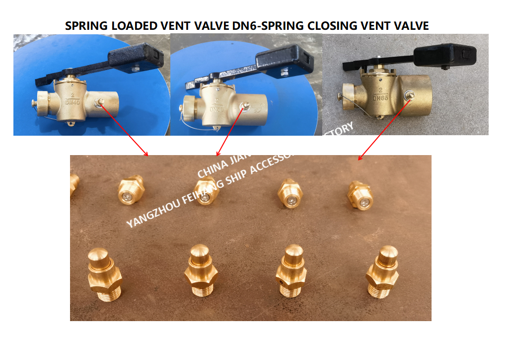 DN6 Spring Loaded Vent Valve with Threaded End Compliant with CB/T3778-1999 Standard