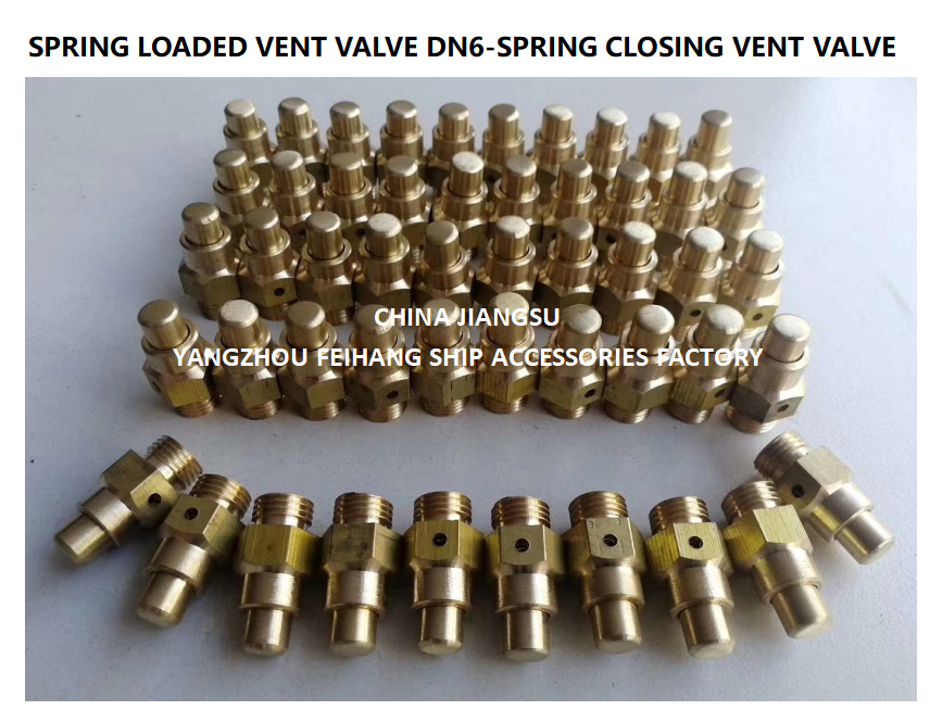 DN6 Size Spring Loaded Vent Valve with Threaded Connection Compliant to CB/T3778-1999 Standard
