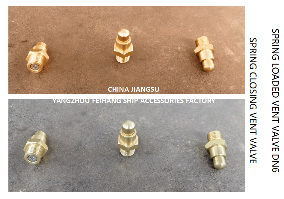 DN6 Spring Loaded Vent Valve with Threaded Ends Compliant with CB/T3778-1999 Standard