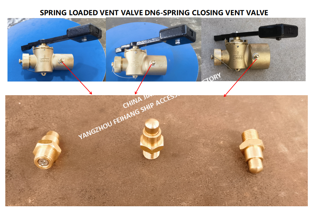 DN6 Size Spring Loaded Vent Valve with Threaded Connection Compliant to CB/T3778-1999 Standard