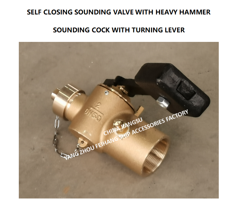 Sounding Self-Closing Valve For Fuel Tank Model FH-DN40 Cb/T3778-99 Self Closing Cock For Sounding Pipe